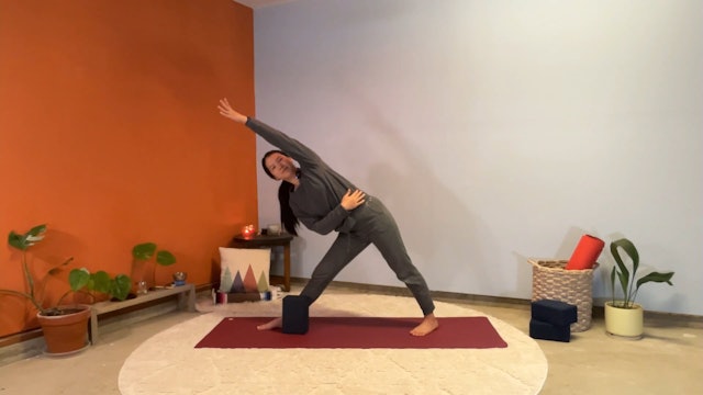 45 min Hatha Yoga 1-2 w/ Elena – Twists & Backbends 4/1/24