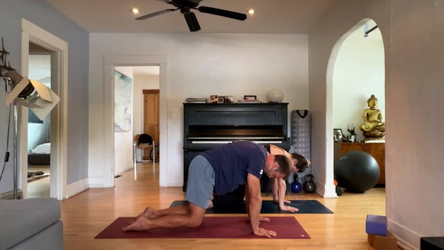 30 min All Levels Vinyasa w/ Vytas - ...