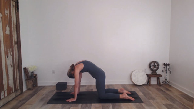 45 Min Yogaworks 1-2 w/ Ashley Gentle Yet Powerful Practice 1/13/2023