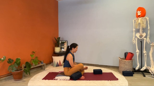 45 min Hatha Yoga 1 w/ Elena – Introspection 8/8/23