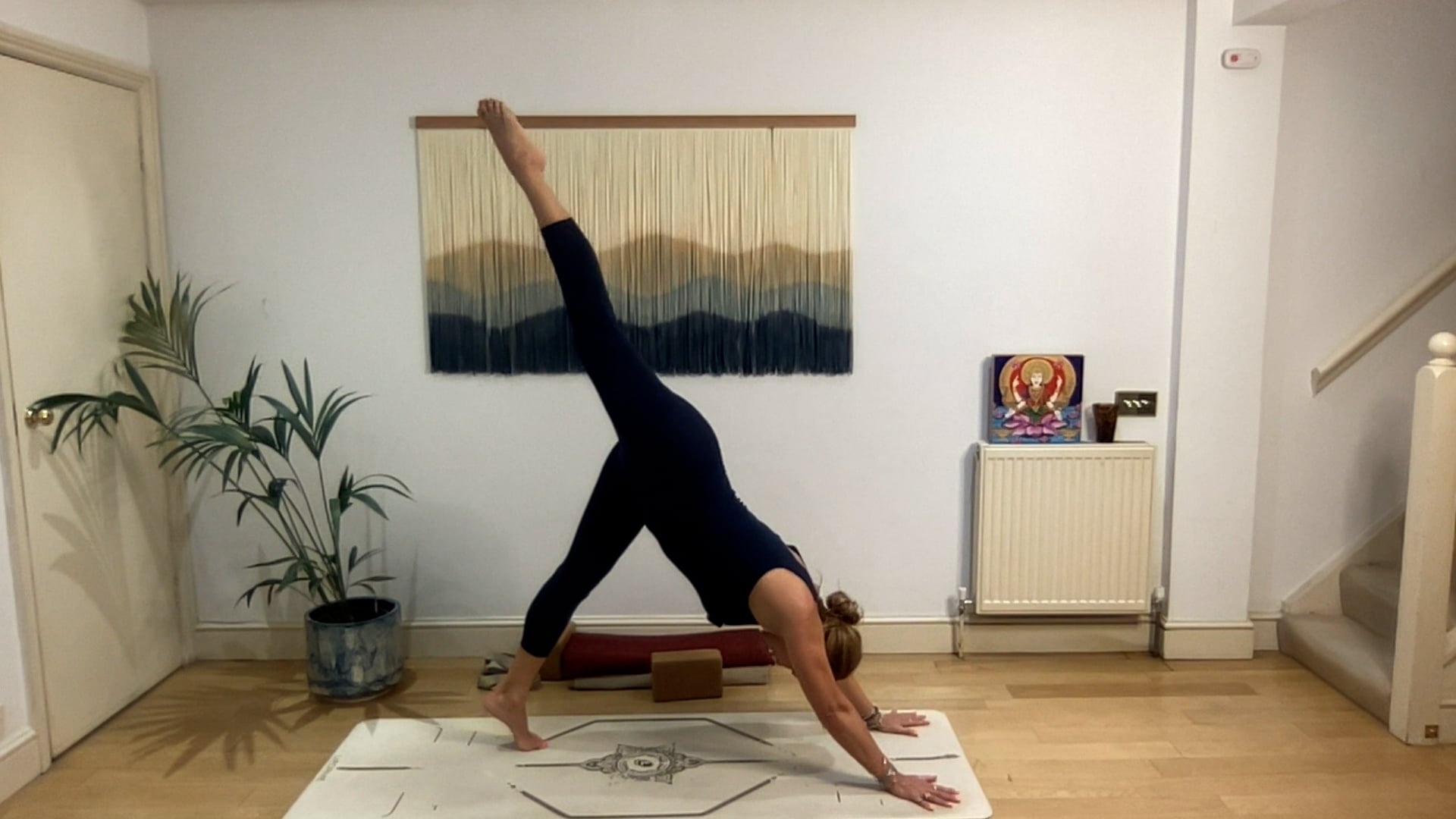 60 min Back To Center Vinyasa Level 2/3: Mia