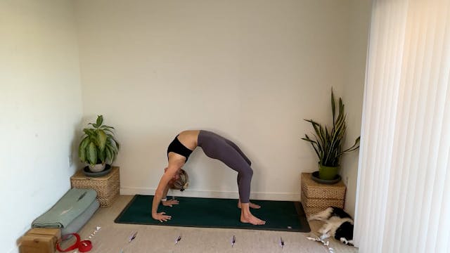 60 min YogaWorks 2 w/ Maya - Foundati...