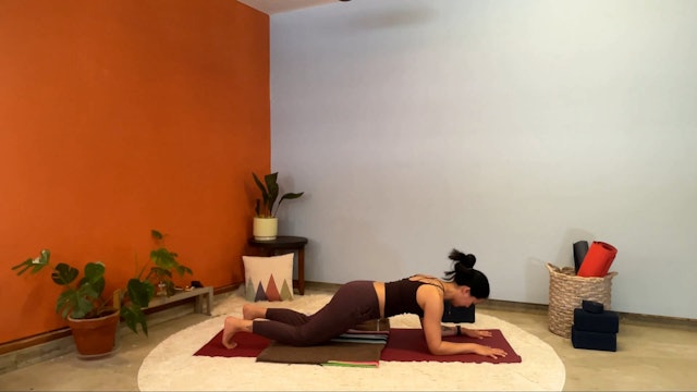 45 min Hatha Yoga 1 w/ Elena – Core to Shoulders 7/24/23