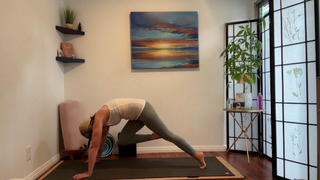 45 min All Level Vinyasa Flow w/ Jesse Roots and Space