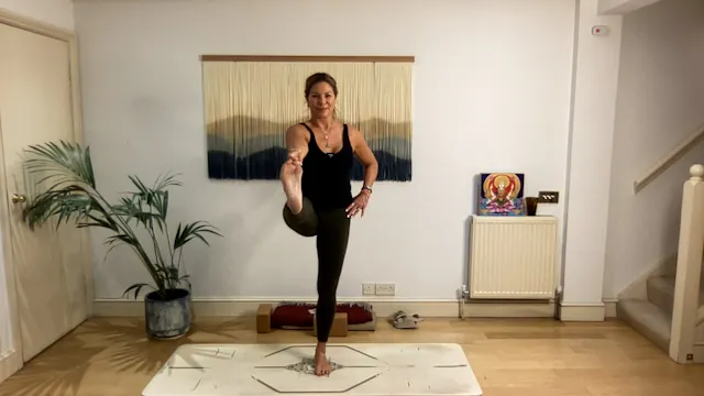 60 min Burn, Baby...Balance Vinyasa L...