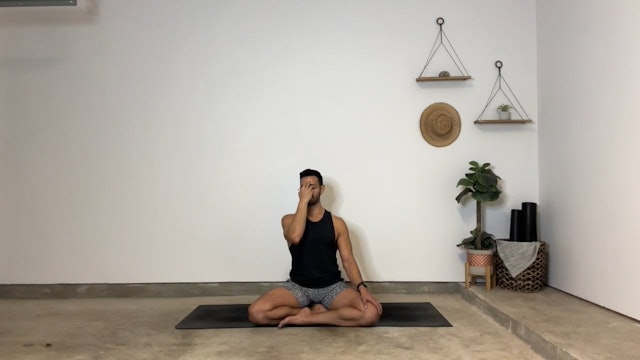 15 min Balanced Breath, Balanced Brain w/ Gustavo
