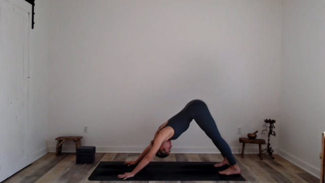 45 min Vinyasa Flow w/ Ashley - Holid...