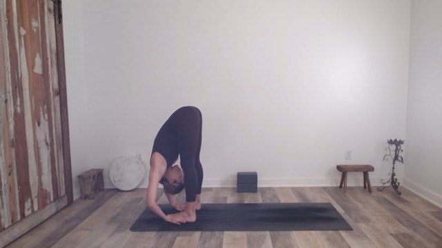 60 min YogaWorks w/ Ashley – Ease Back In 01/17/2023