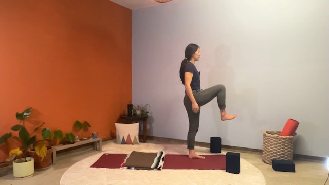 45 min Hatha Yoga 1 w/ Elena – 360 Hips 2/5/24