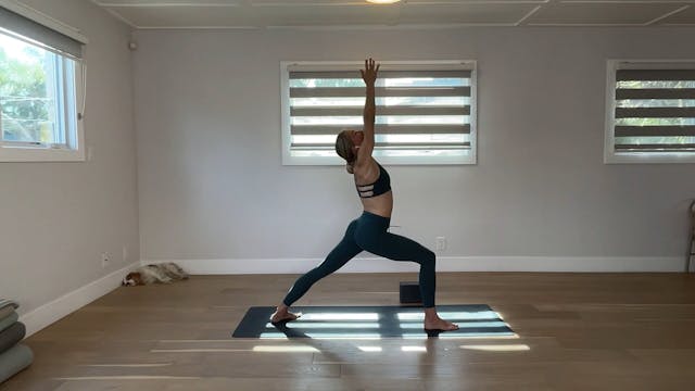 60 min YogaWorks All Levels w/ Maya -...