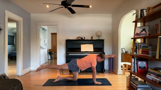 20 min Spinal Movement w/ Vytas