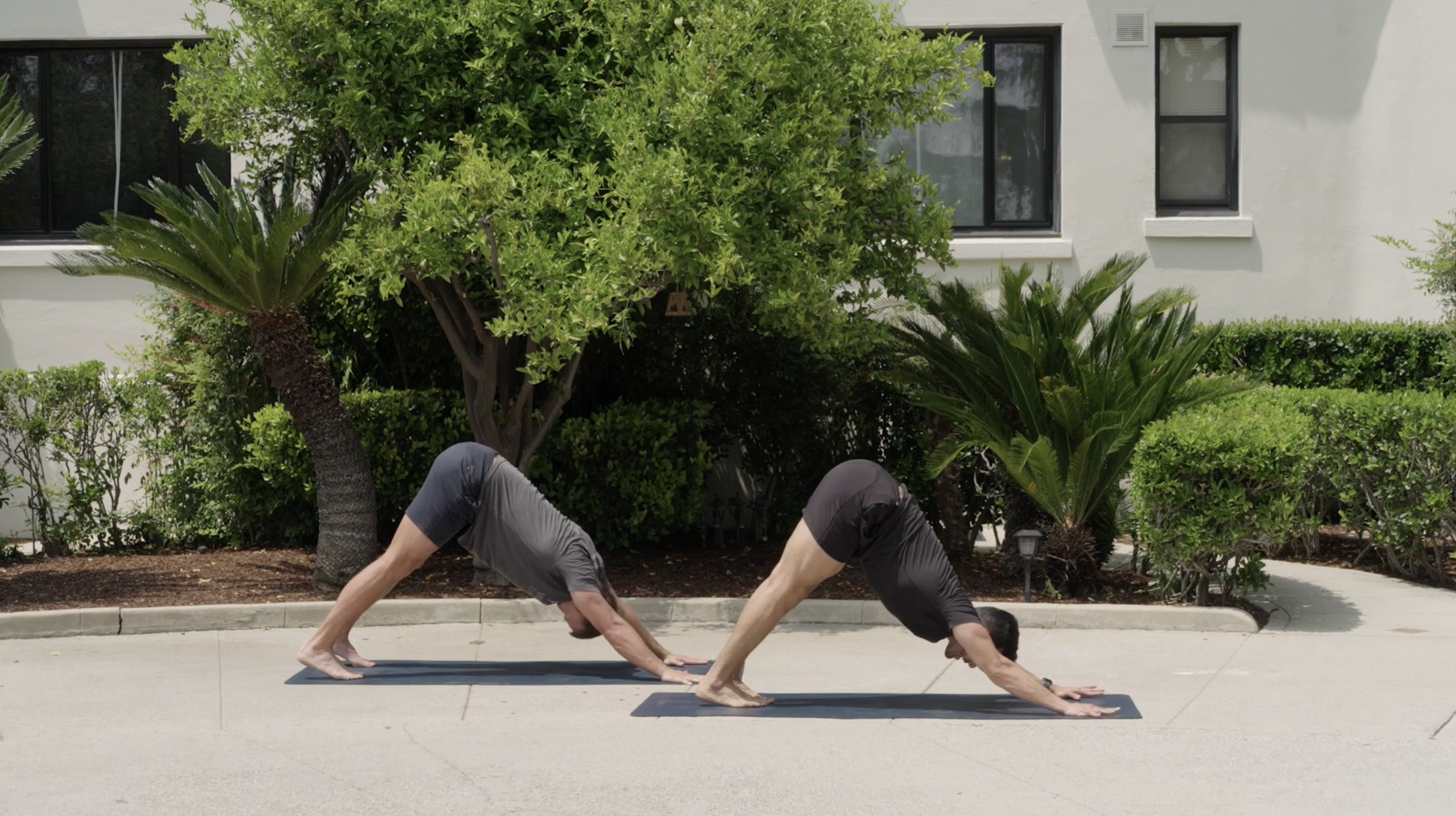 Empowering Vinyasa Flow