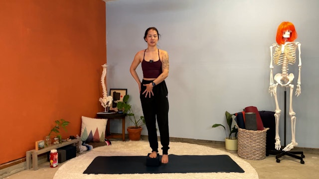 30 min Therapeutic Yoga w/ Elena - Find Your Balance - 5/3/23