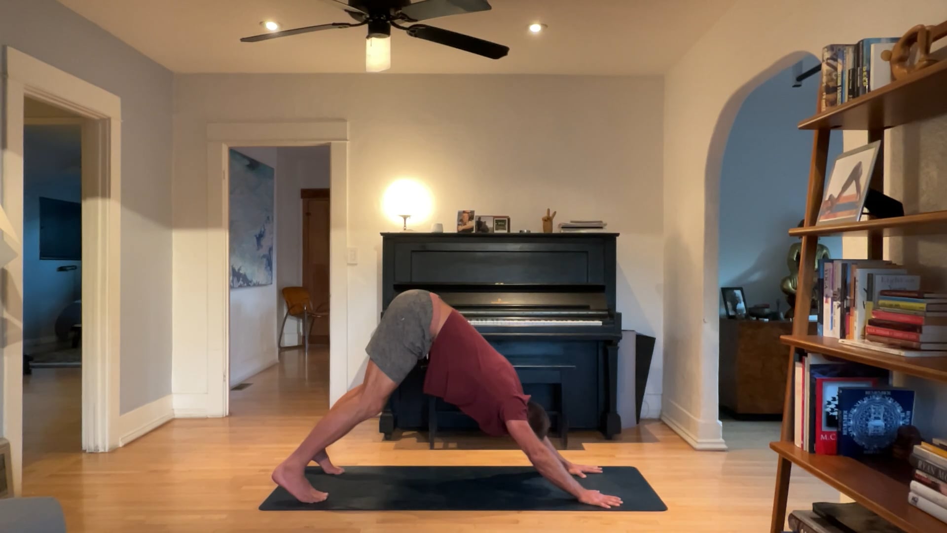 30 min All Levels Vinyasa w/ Vytas - Dowwwwn Dog 1/3/25