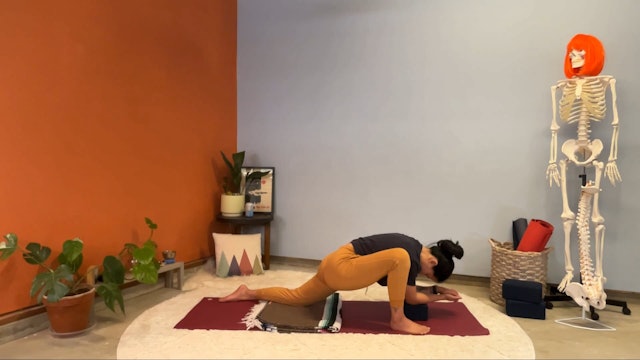 45 min Hatha Yoga 1 w/ Elena – Hips to Core and Back Again 8/23/23