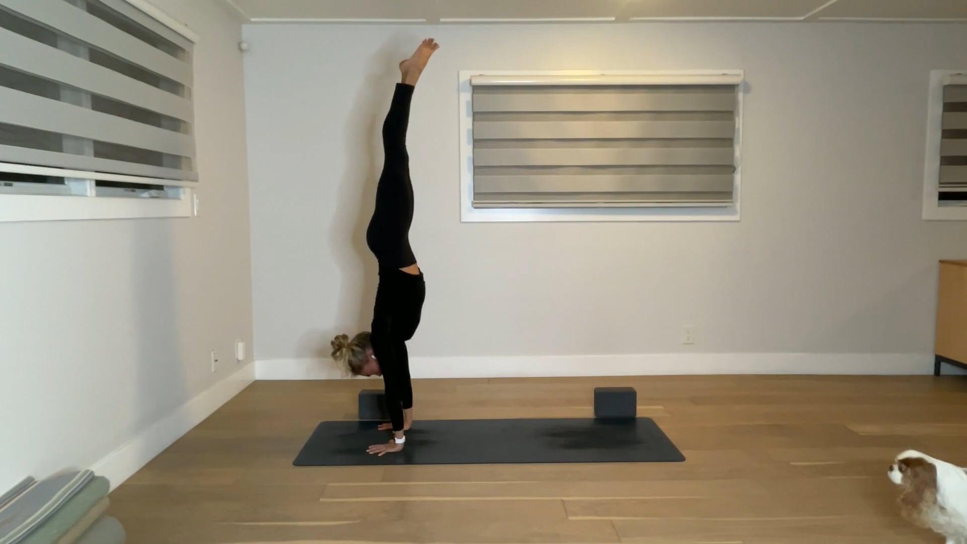 60 min YogaWorks Level 2: Maya