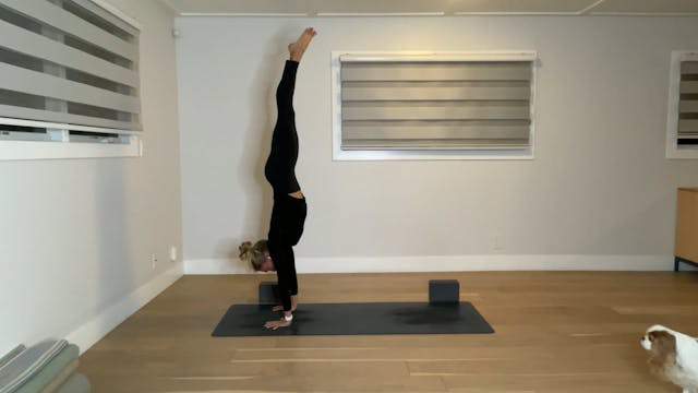 60 min YogaWorks Level 2: Maya