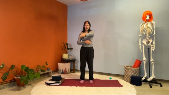 45 min Therapeutic Yoga w/ Elena – Shoulder Funtime 11/18/23