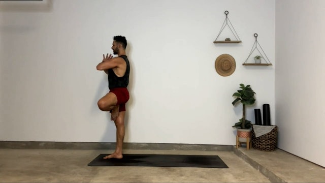 30 min Vinyasa Flow 2-3 w/ Gustavo – Grounded & Strong Flow – 08/08/2023