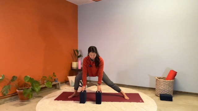 45 min Hatha Yoga 1 w/ Elena – Skater Lunge / Skandasana 12/18/23
