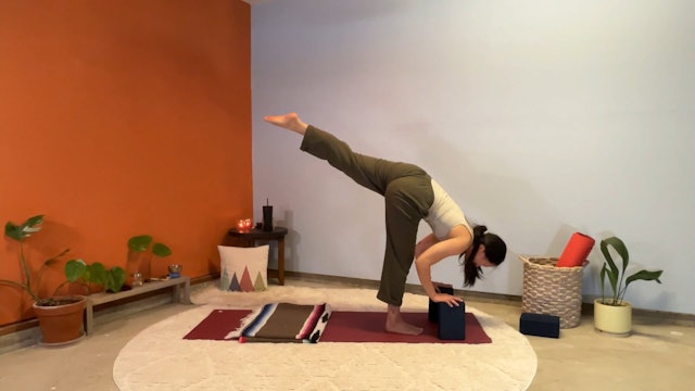 45 min Hatha Yoga 1-2 w/ Elena – Explore Standing Splits 4/3/24