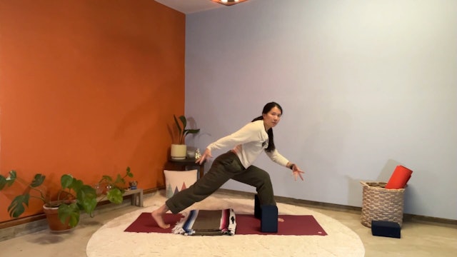 45 min Hatha Yoga 1 w/ Elena – Happy Hips 12/11/23