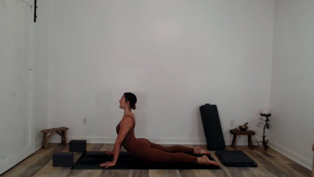 60 min Vinyasa Flow w/ Ashley - New P...