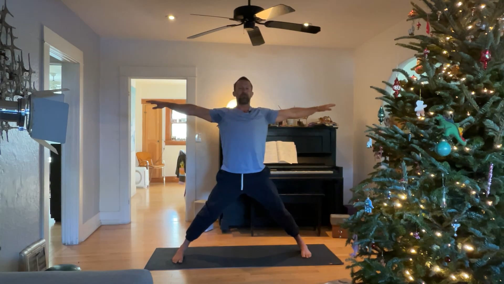 45 min Awakening Vinyasa 2 : Vytas - 12/29/25