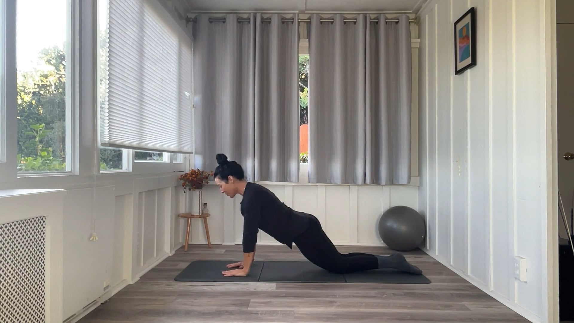 30 min Pilates Plus w/ Tracy Full Bod...