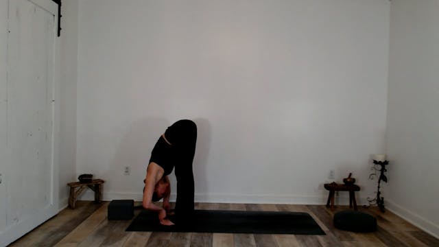 30 min Hatha Yoga: Ashley