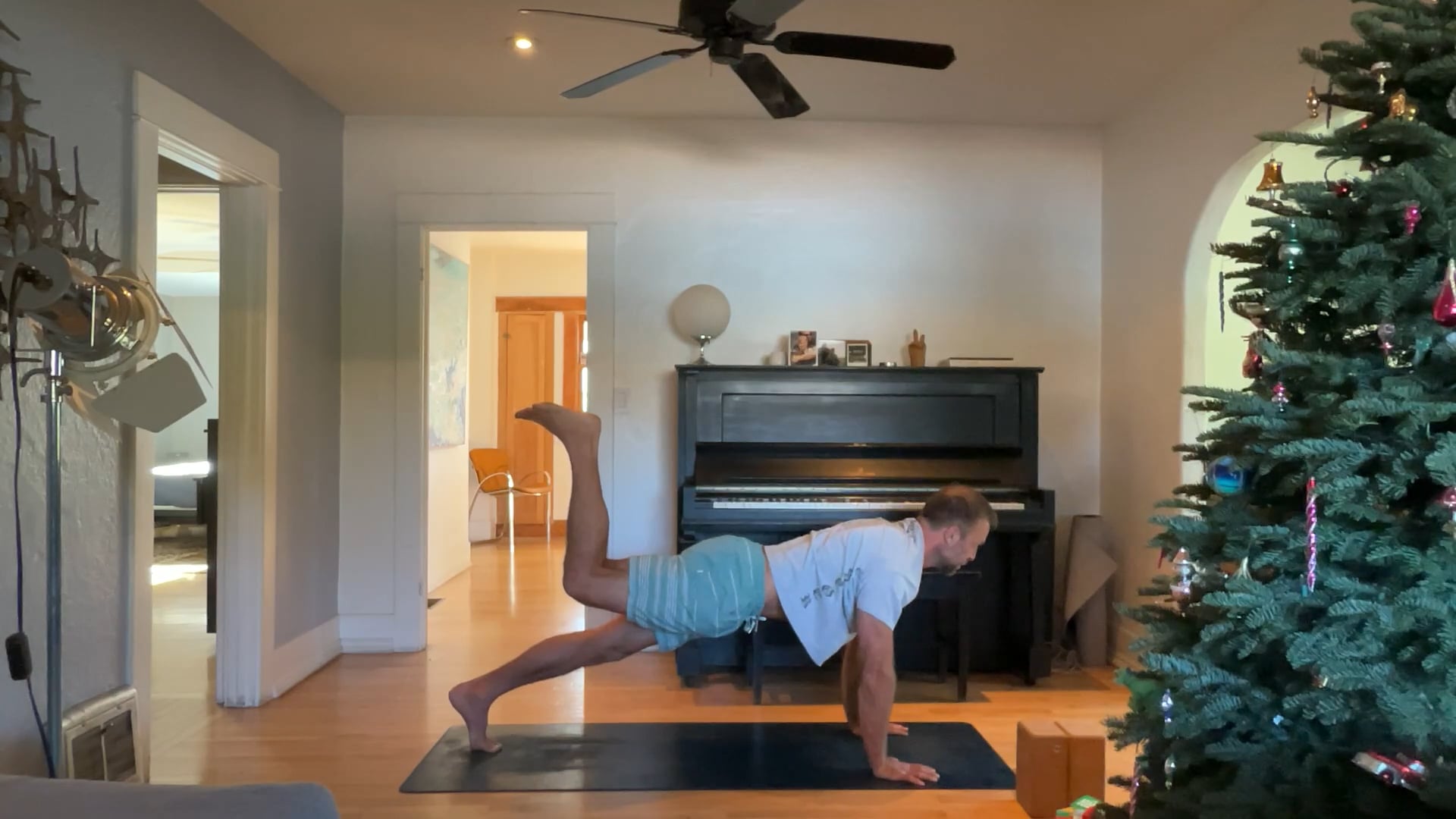 45 min Vinyasa 2 w/ Vytas - Activation 12/18/24