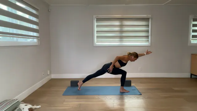 45 min YogaWorks All Levels: Maya