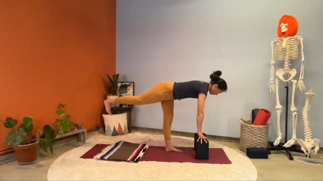 45 min Hatha Yoga 1 w/ Elena - Hamstr...