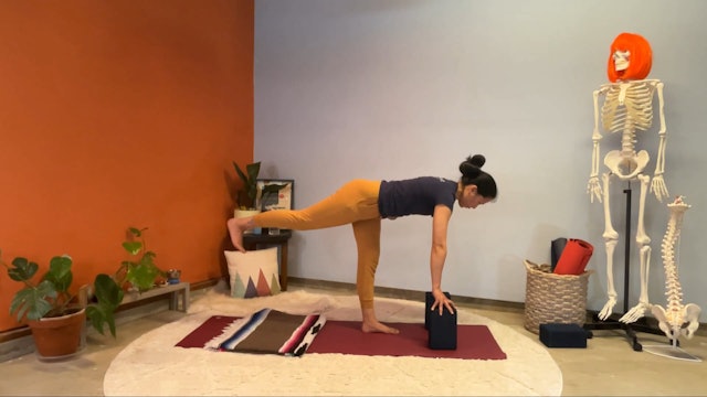 45 min Hatha Yoga 1 w/ Elena – Hamstrings Detailed 8/9/23