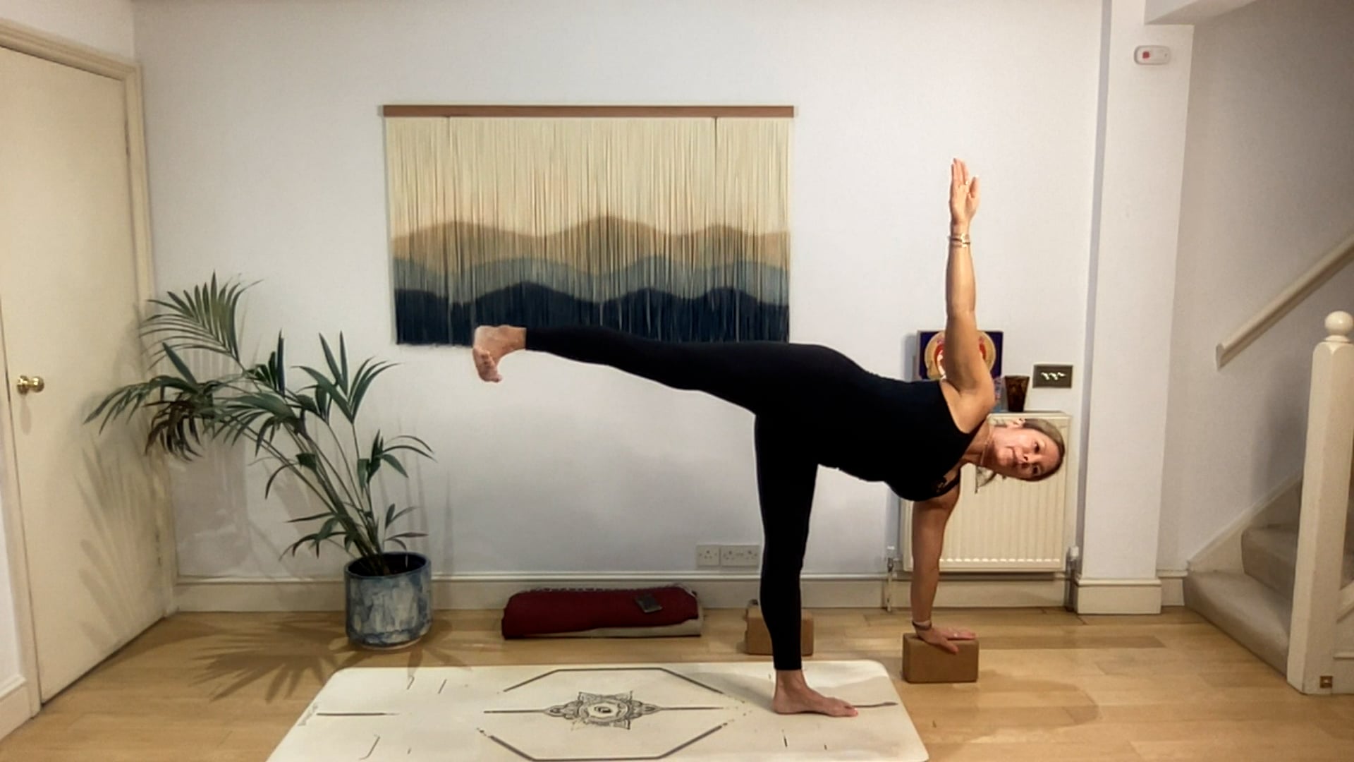 75 min Moon Wisdom, Earth Body Vinyasa Level 2/3: Mia