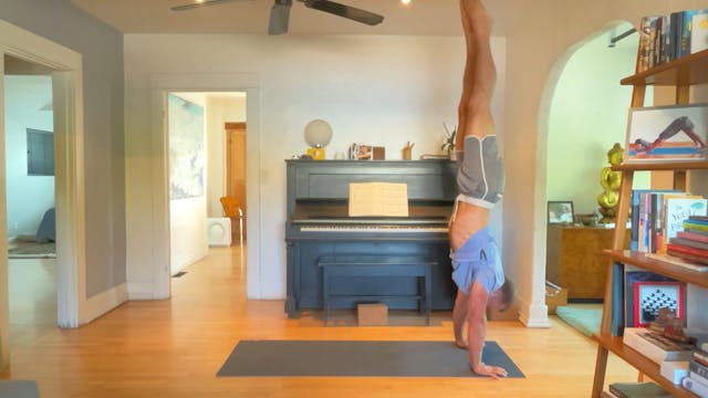 45 min Vinyasa 2 w/ Vytas - Mobility ...