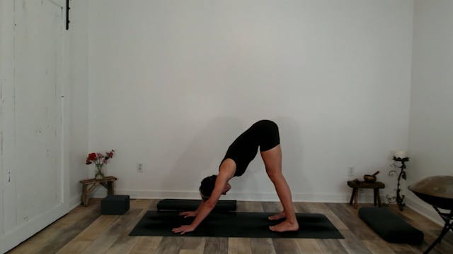 60 min Vinyasa Flow  w/ Ashley - Cons...