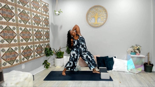 45 mins. Slow Flow w/ Tamika – Moving exploration of the Dream 10/17/23