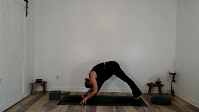 30 min Light Embodied Hatha Yoga: Ashley