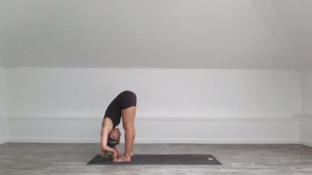 60 min Vinyasa Flow w/ Ashley - Purif...