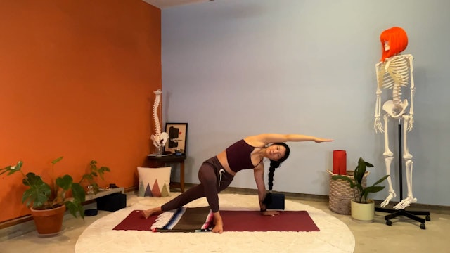 45 min Hatha Yoga 1/2 w/ Elena – We Love Side Plank – 6/23/23