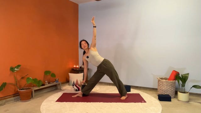 45 min Hatha Yoga 1-2 w/ Elena - Wild...