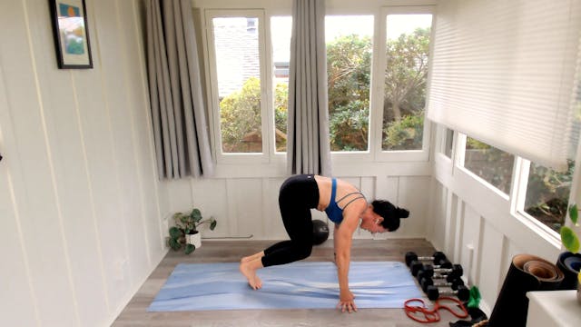 30 min - Core Blast - w/ Tracy- Your ...