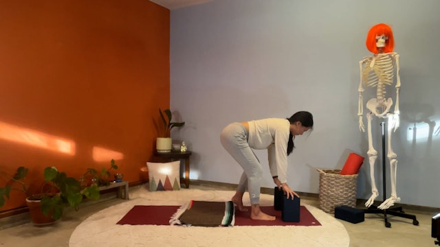 45 min Hatha Yoga 1 w/ Elena – Off Set Stance 11/27/23