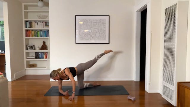 25 min Barre Tone w/ Maya - 11/28/23