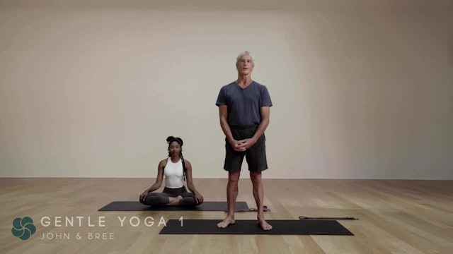 45 minute Gentle Yoga for the Whole Body