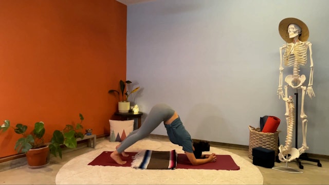 45 min Hatha Yoga 1-2 w/ Elena - We L...