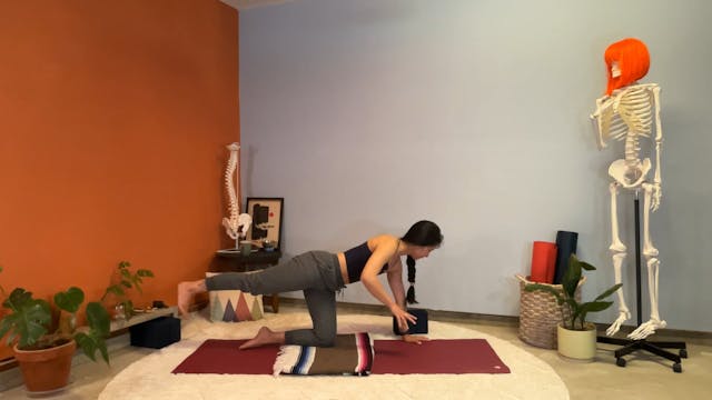 40 min Hatha Yoga 1/2 w/ Elena - Cat ...