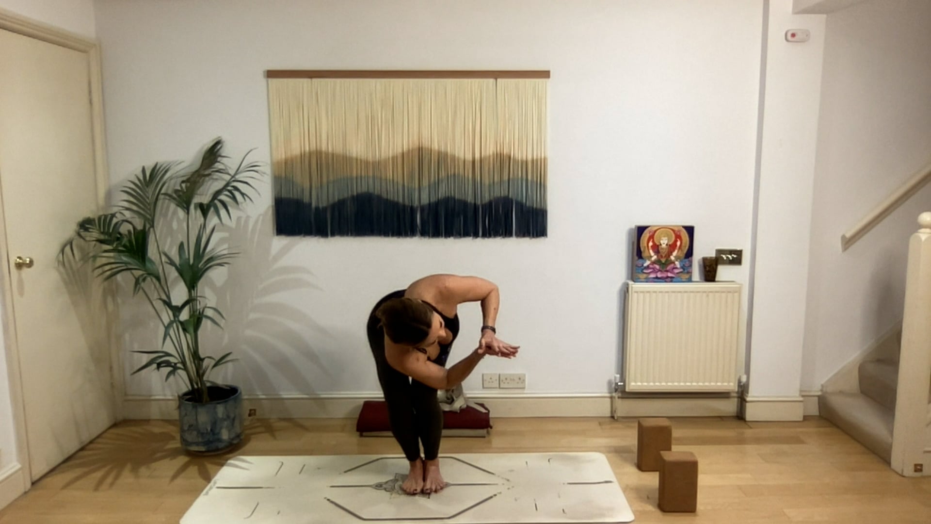 75 min Intention, Attention, Creation Vinyasa Level 2/3: Mia