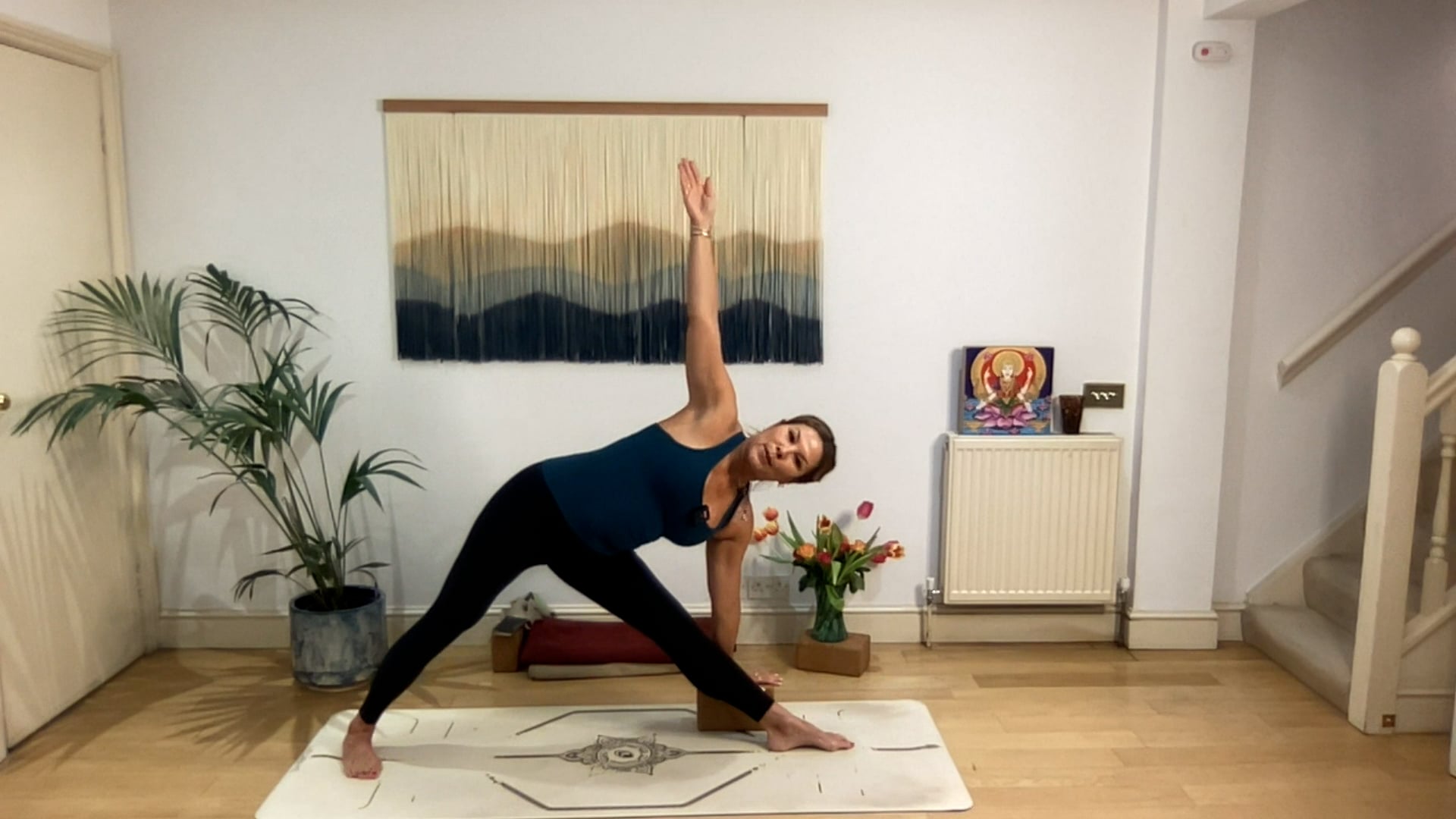 75 min Beginner's Mind Vinyasa Level 2/3: Mia